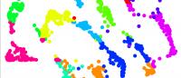 Image from Andrea Califano's lab depicting data points, brightly colored by cohort/cluster